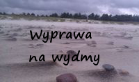 wydmy